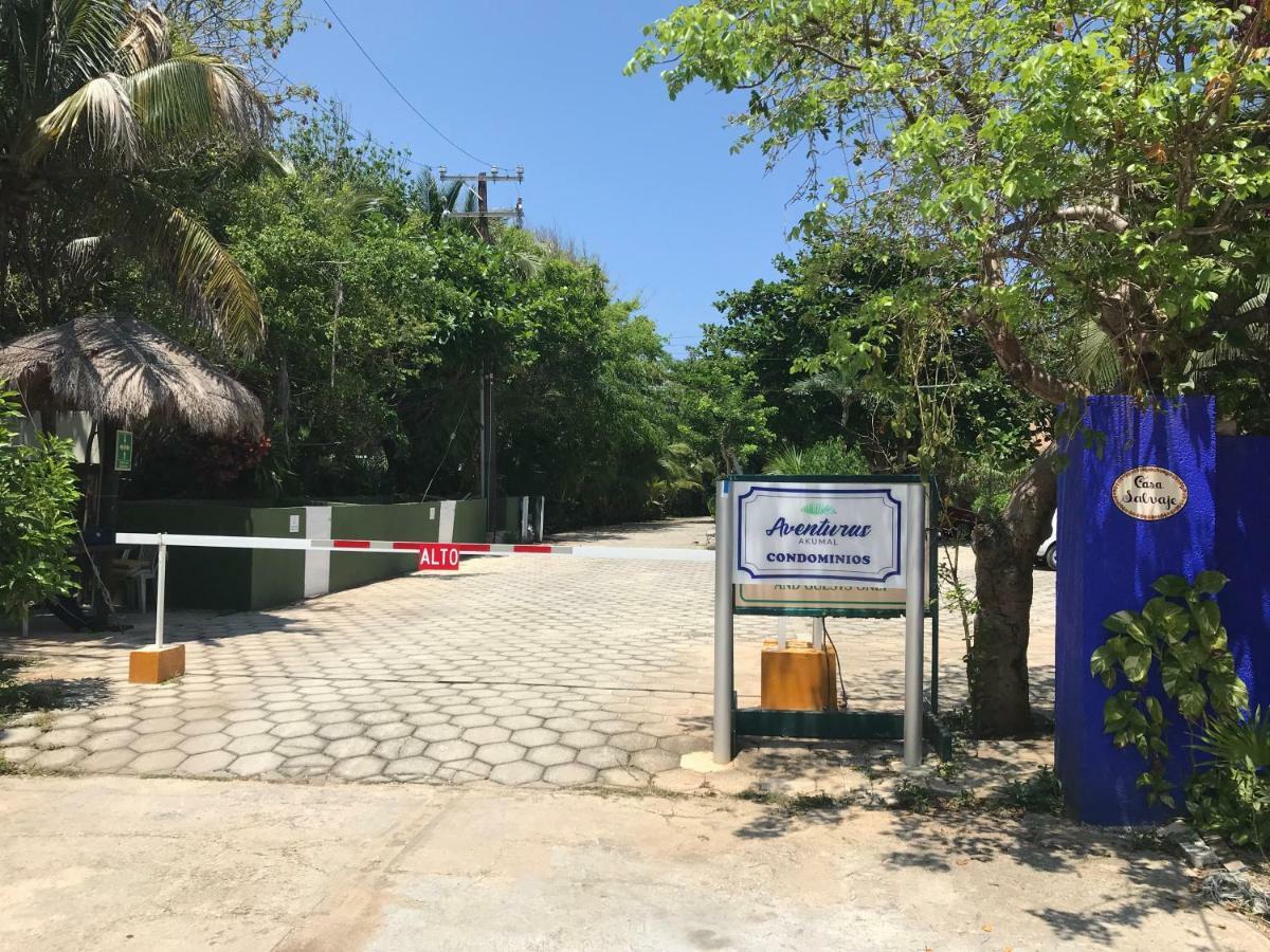 אקומל Beachfront Hammock Heaven מראה חיצוני תמונה